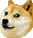 :doge: