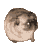 :poodel: