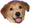 :sobak:
