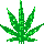 :weed: